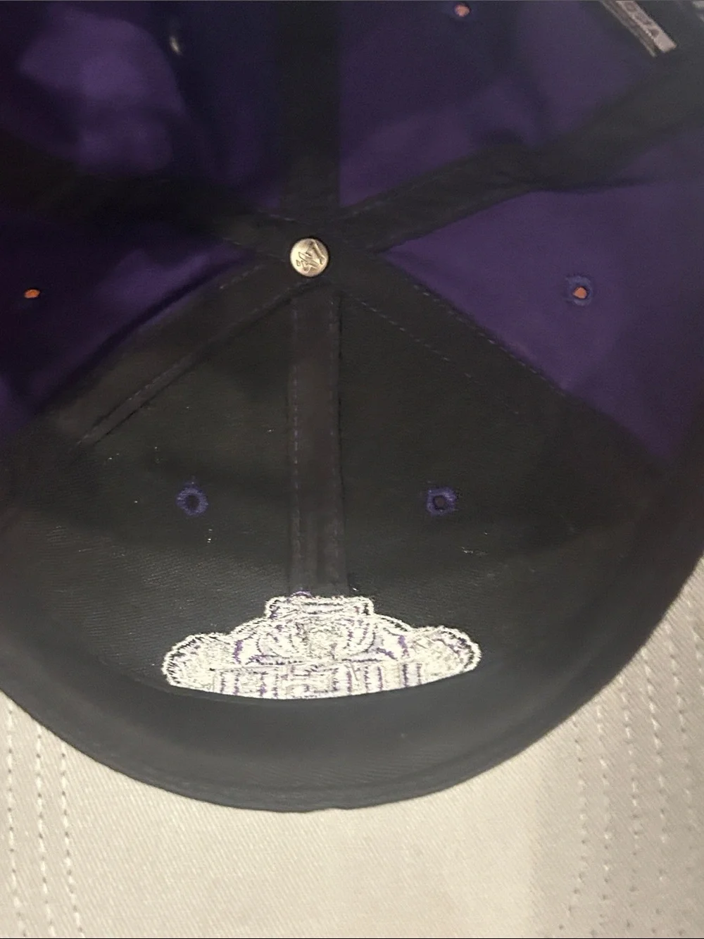 University Of Central Arkansas Bears UCA ‘47 Brand Purple Cap O/S Velcro New!
